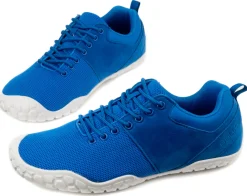 Ballop BF1 |a ~ Bneed ~ Royal Blue