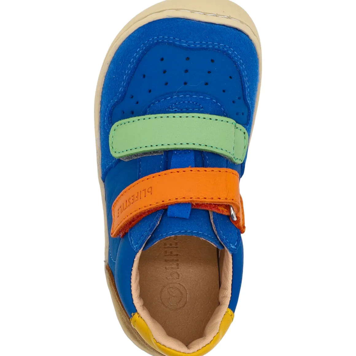 bLifestyle ~ baby Anurafrosch LowCut Klett ~ Seeblau