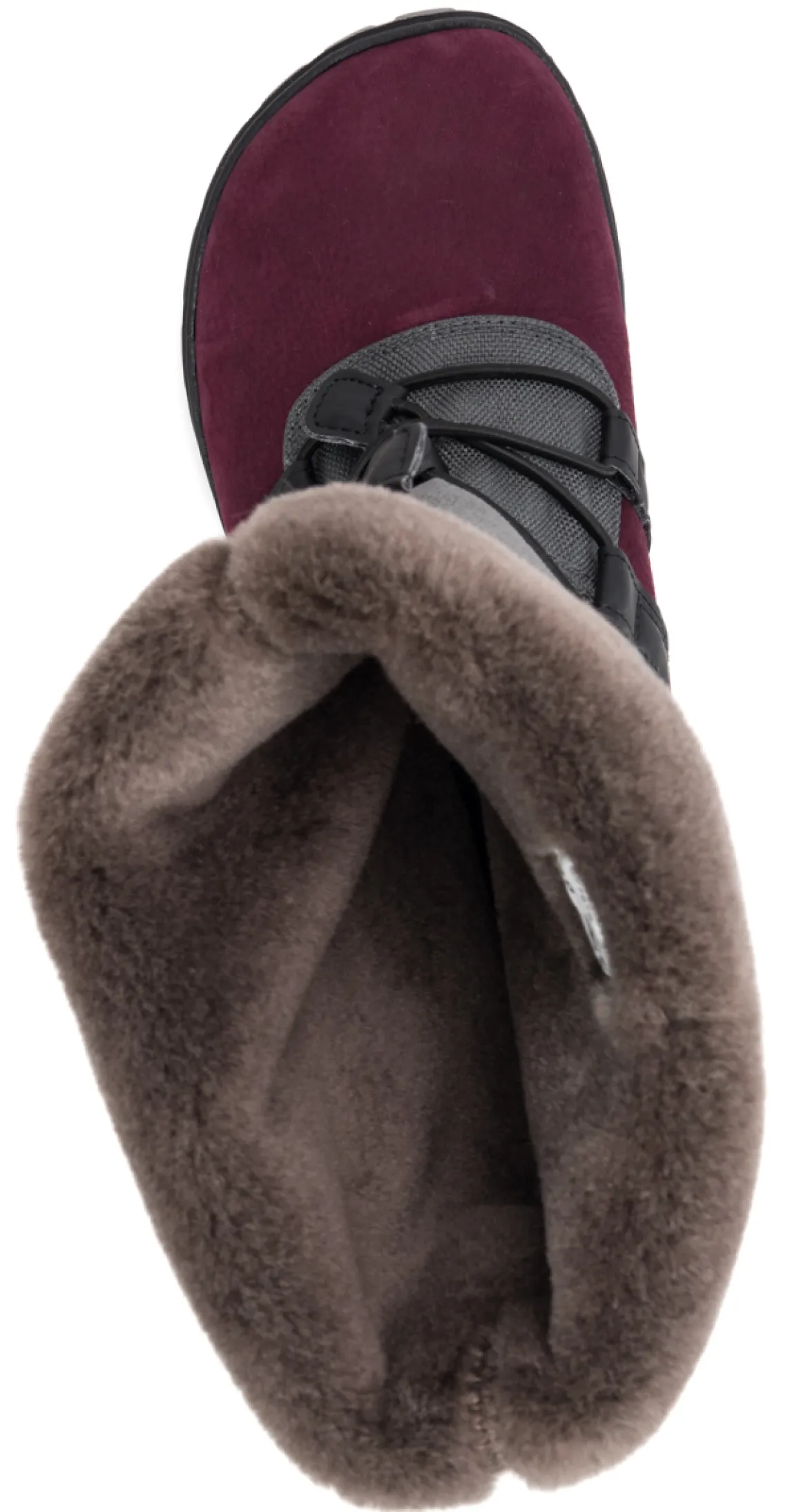 Koel Santi |mid ~ Rana Winter ~ Bordeaux