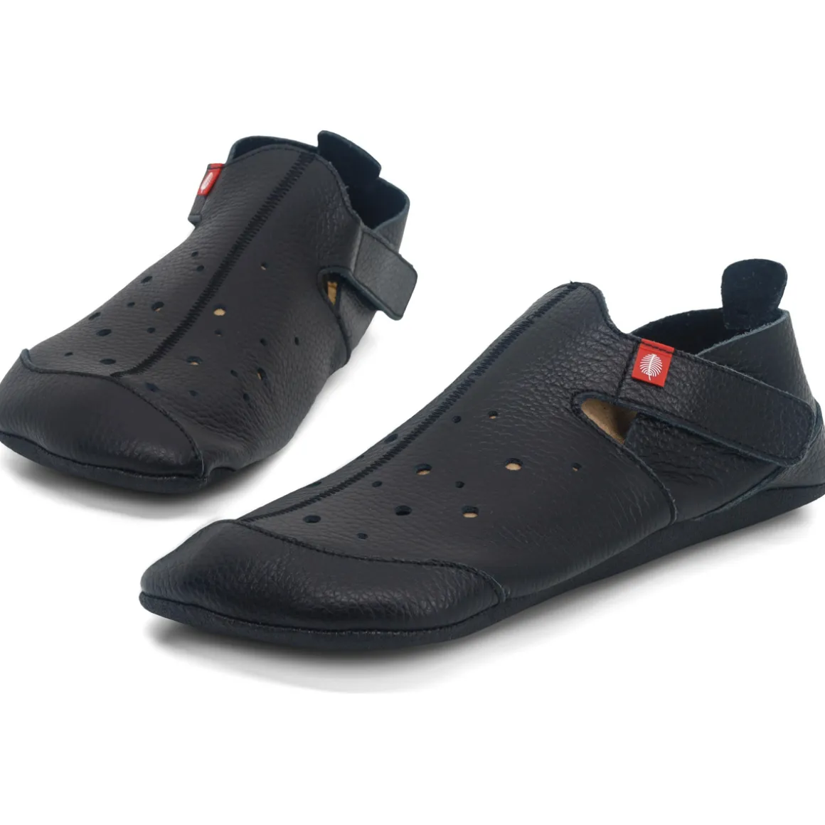 LANG.S ~ Ziggy ~ Black