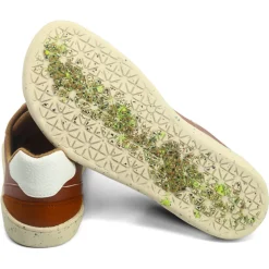 new.ve ~ Genesis Sneaker Vegan ~ Wood