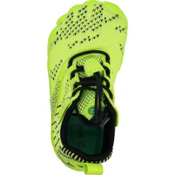 Saguaro kids ~ Free I ~ Green Flash