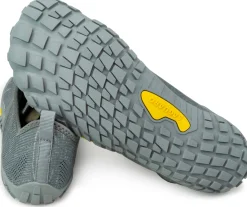 Saguaro ~ Smart I ~ Grey