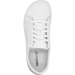 Xero |f ~ Dillon ~ White