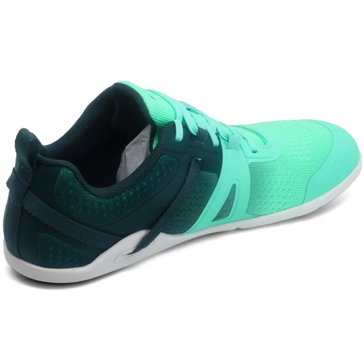 Xero |f ~ Prio Neo ~ Sea Moss