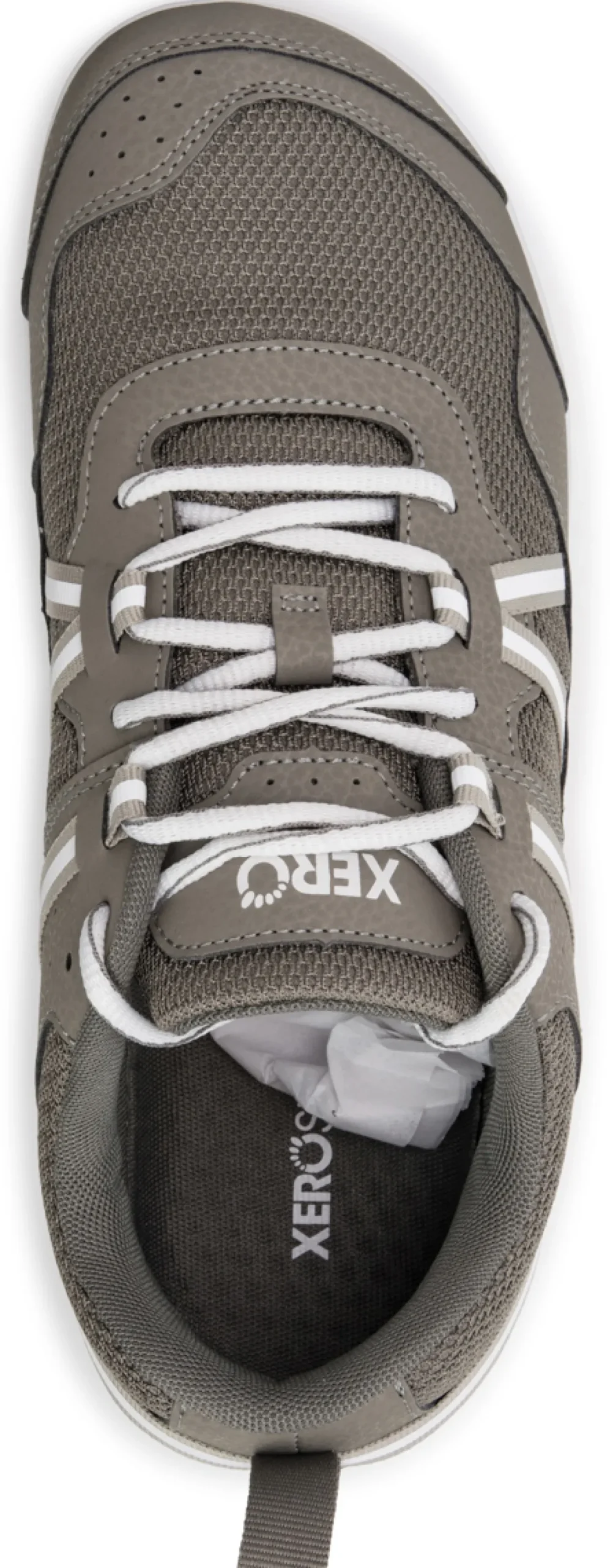 Xero |m ~ Prio ~ Fallen Rock
