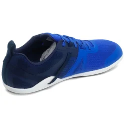 Xero |m ~ Prio Neo ~ Blue Iolite